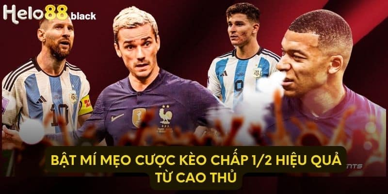 Bật mí mẹo cược kèo chấp 1/2 hiệu quả từ cao thủ