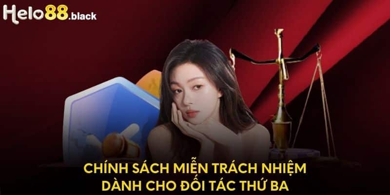 Chính sách miễn trách nhiệm dành cho đối tác thứ ba