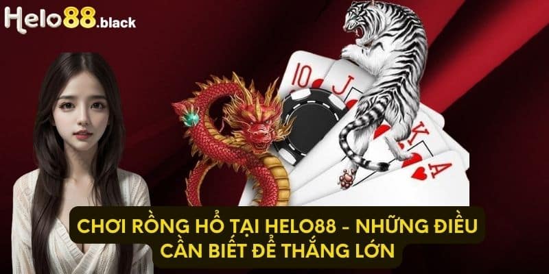 Chơi Rồng Hổ tại Helo88 - Những điều cần biết để thắng lớn