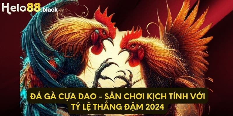 Đá Gà Cựa Dao - Sân Chơi Kịch Tính Với Tỷ Lệ Thắng Đậm