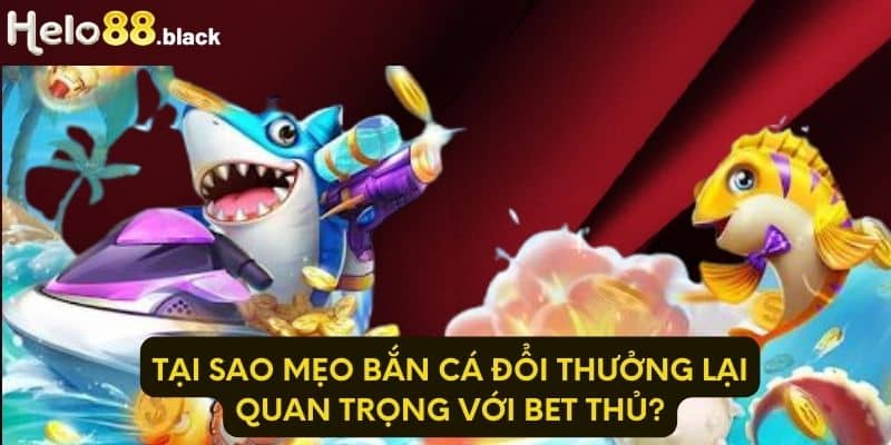 Tại sao mẹo bắn cá đổi thưởng lại quan trọng với bet thủ?