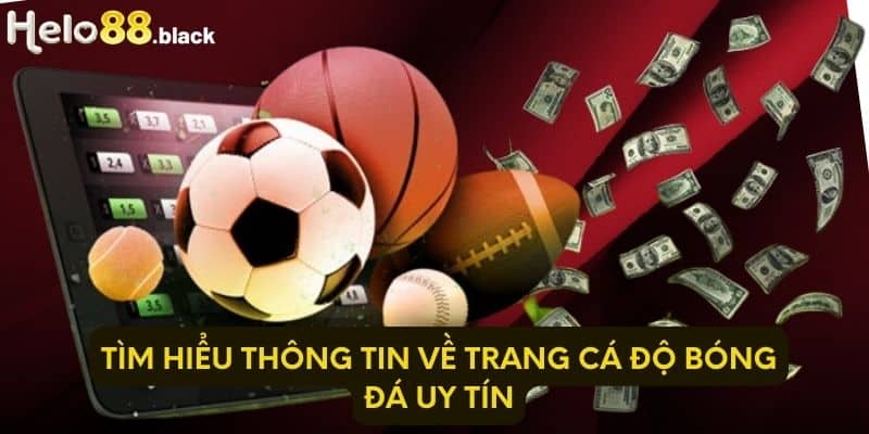 Tìm hiểu thông tin về trang cá độ bóng đá uy tín